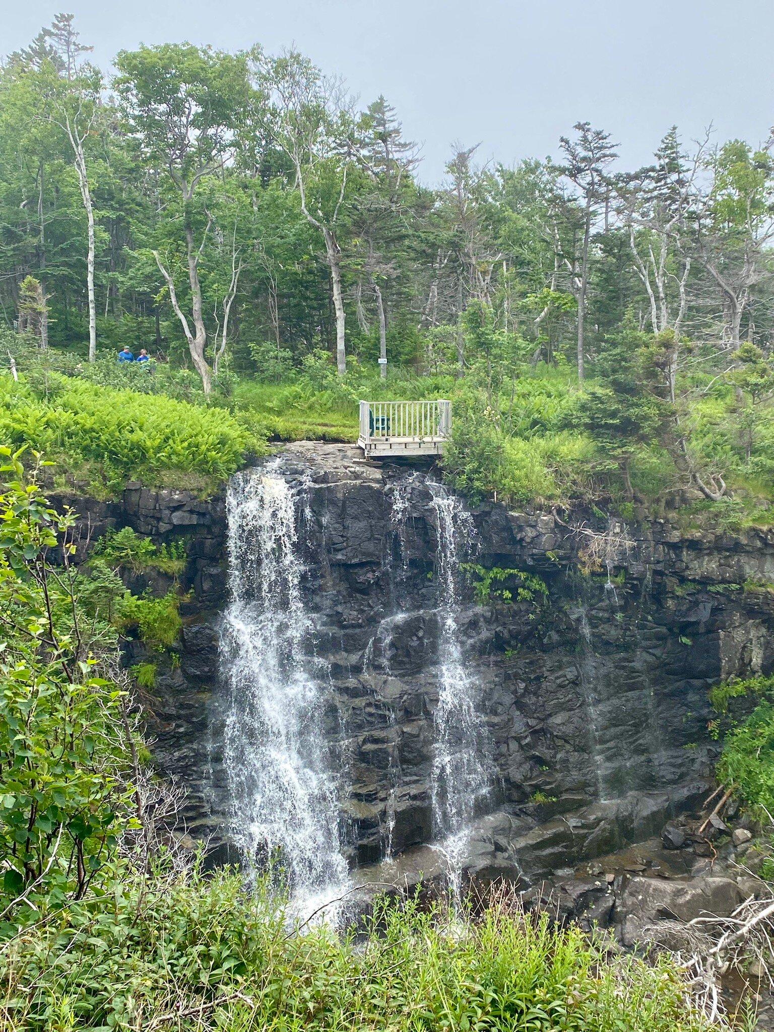 Delaps Cove Wilderness Trails