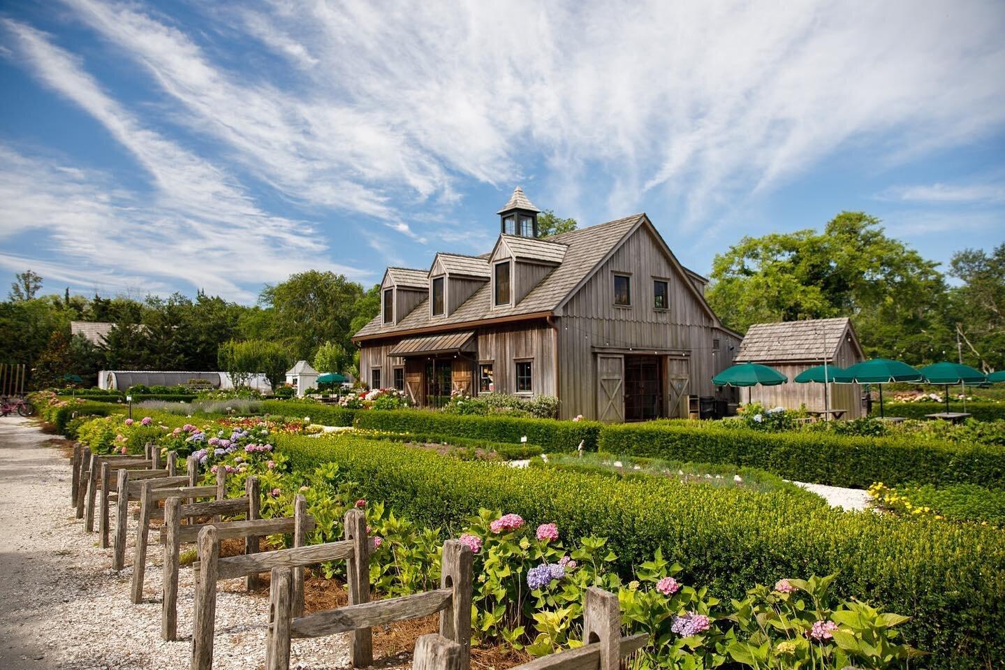 Beach Plum Farm Cottages