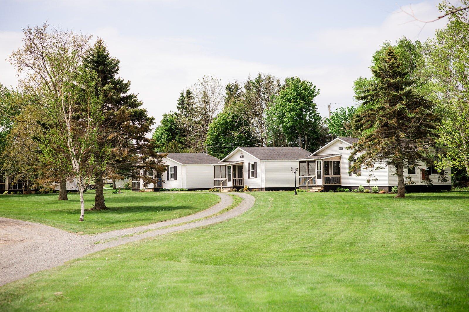 The Birches Cottages