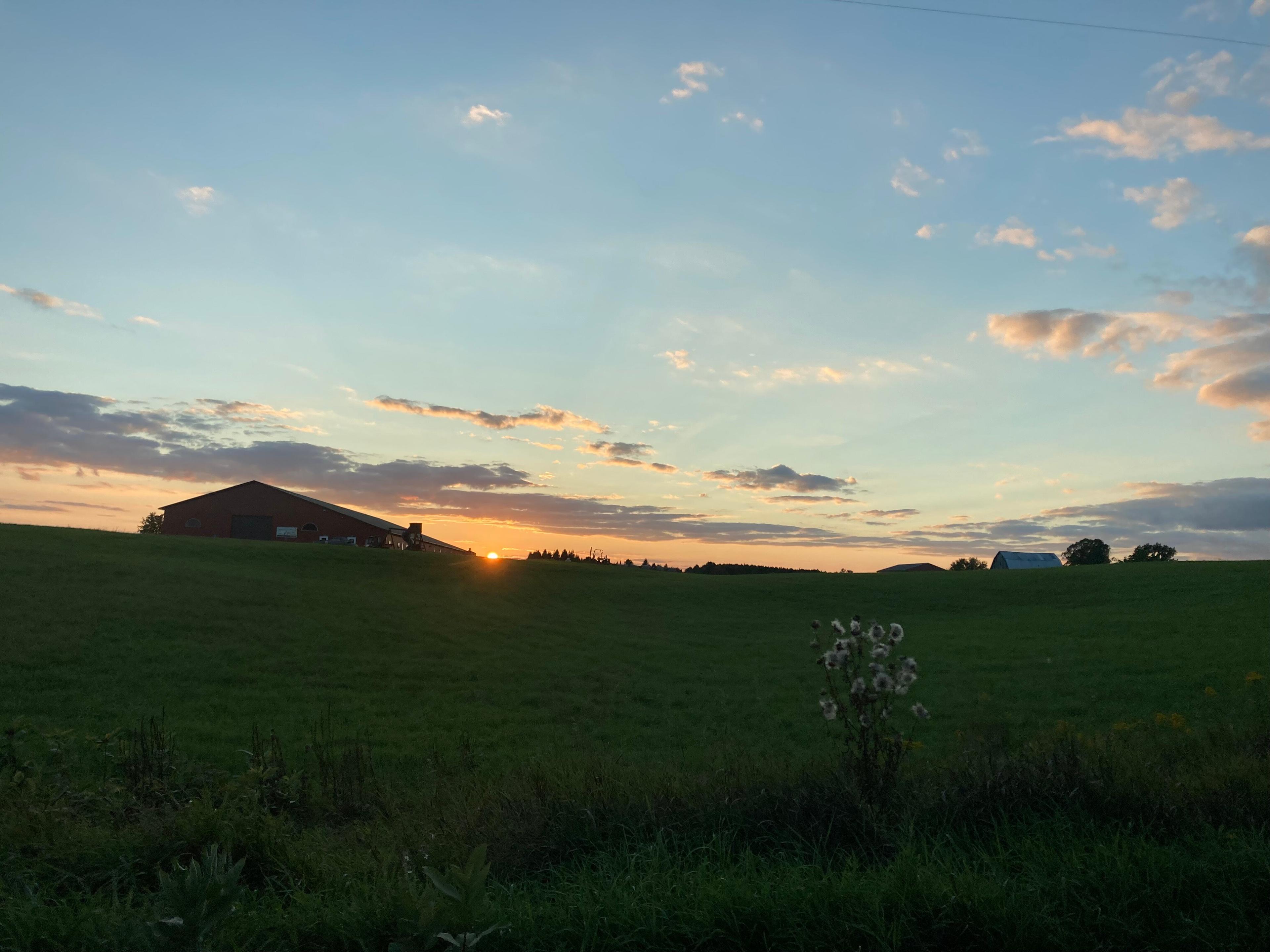 Whispering Hope Ranch