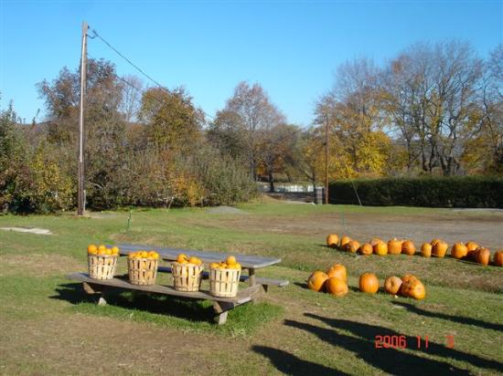 Melick's Town Farm