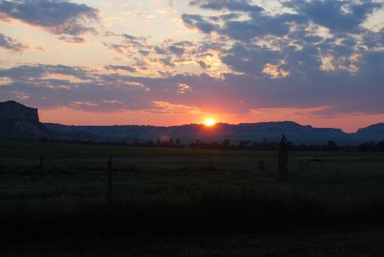 Flying Bee Ranch