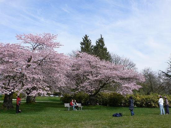 Queen Elizabeth Park