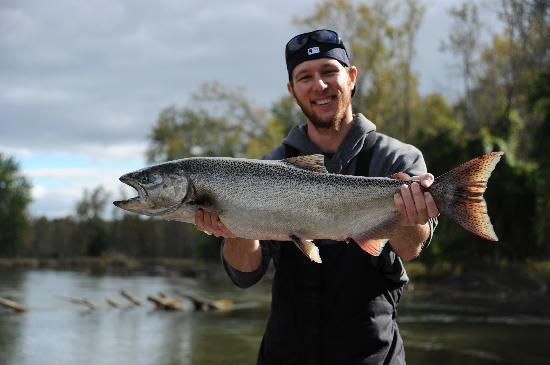 Manistee River Salmon