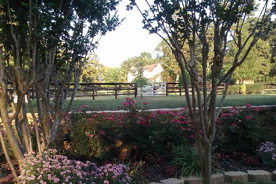 The Venue at Centaur Farms