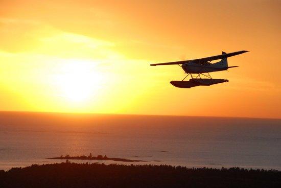 Georgian Bay Airways