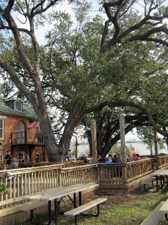 Live Oak Gril