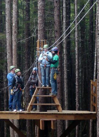 Grizzly Falls Ziplining Expedition