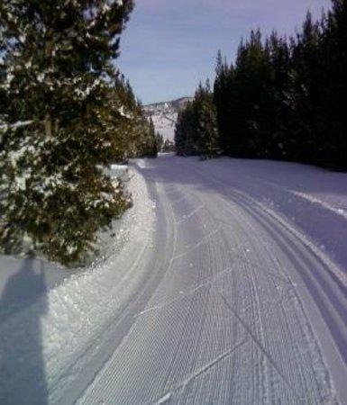 Beaver Creek Nordic Ski Area