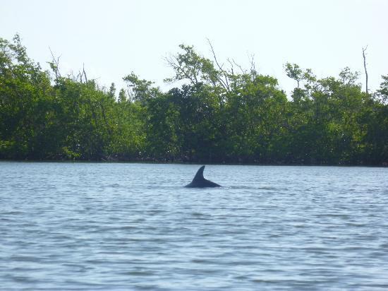 Cocoa Kayaking