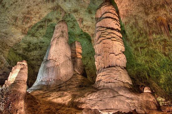 Bat Flight Program in Carlsbad Caverns National Park