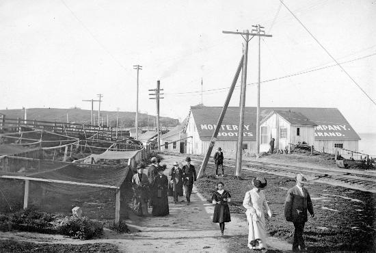 Monterey Waterfront & Cannery Row Tours