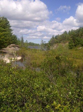 Torrance Barrens Dark-Sky Preserve