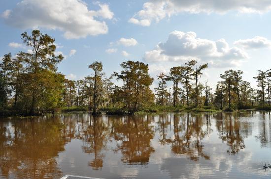 Airboat Adventures