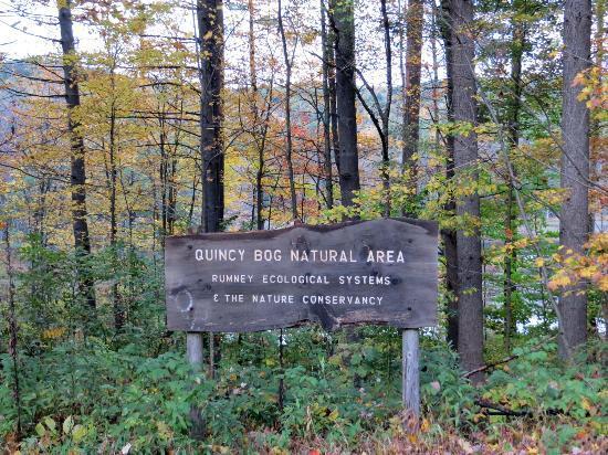 Quincy Bog Natural Area