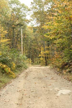 Ossipee Hill Summit