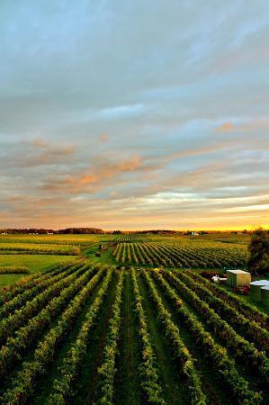 Palatine Hills Estate Winery