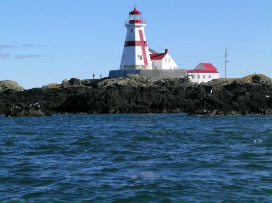 Downeast Charter Boat Tours