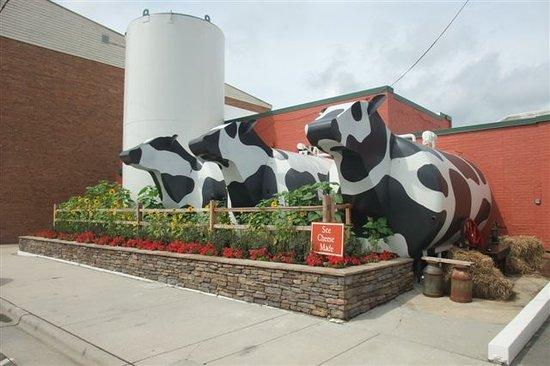 Ashe County Cheese