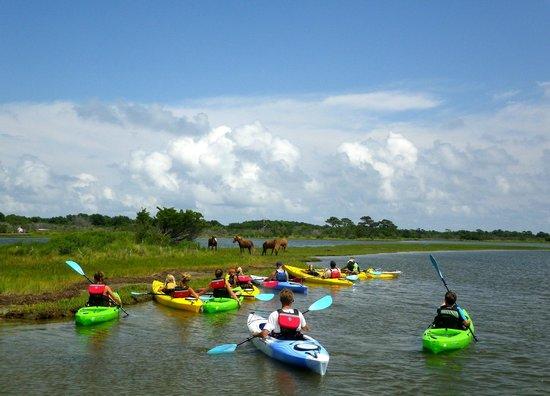 Assateague Outfitters