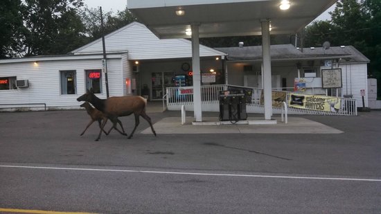 Benezett Store and Restaurant