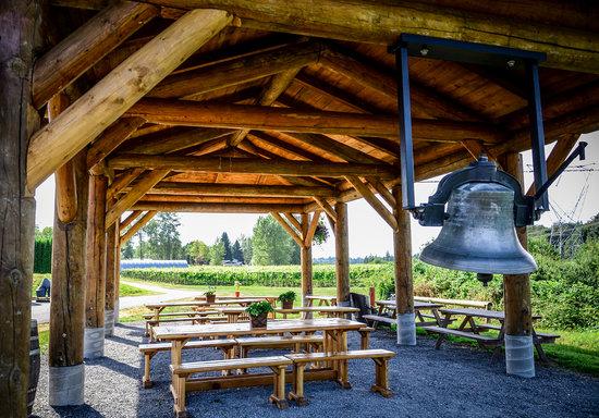 Backyard Vineyards