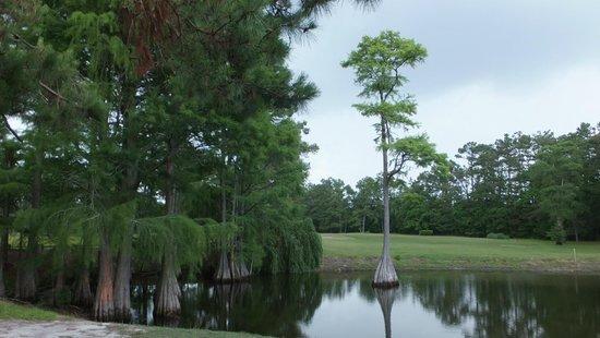 Eagle Nest Golf Club