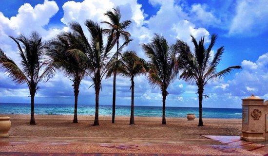 Hollywood Beach