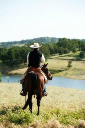 Texas Trail Rides