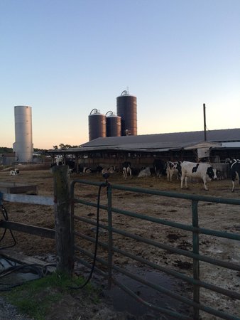 Hopkins Farm Creamery