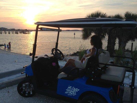 Endless Summer Cart Rentals