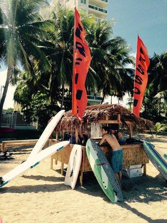 Waterworld Surfing School