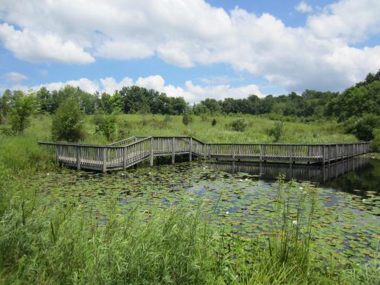 Gorman Nature Center