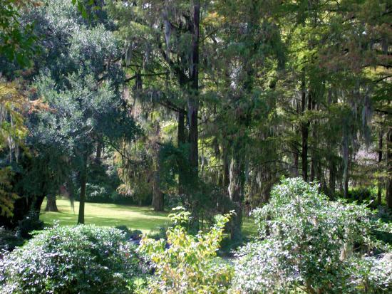 Edisto Memorial Gardens