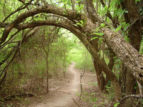 Erwin Park Hike & Bike Trail