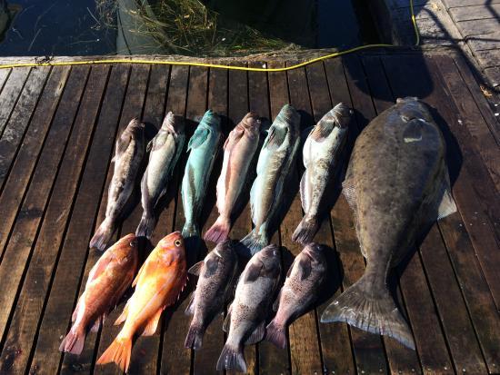 Tofino 1st Class Fishing