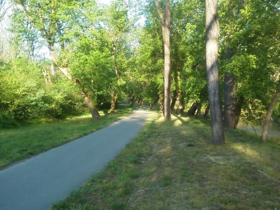 Greenway Bike Trail