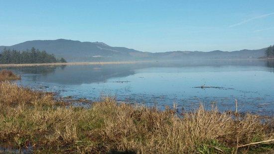 Clay Myers State Natural Area At Whalen Island