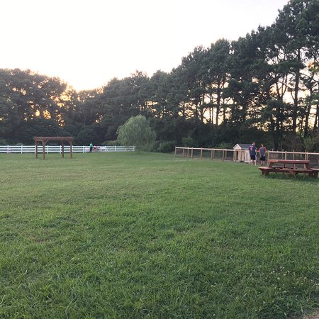 Chesapeake Bay Farms