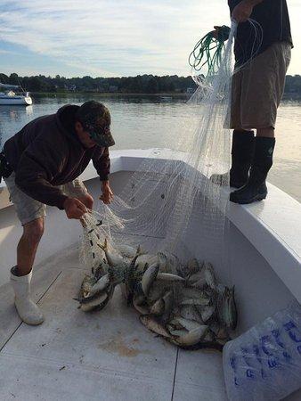 Hairball Charters