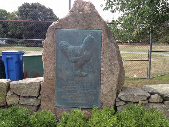 Rhode Island Red Chicken Monument