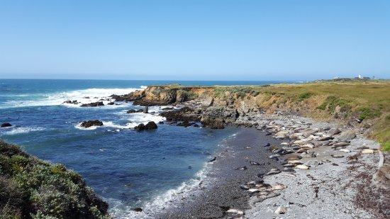 Piedras Blancas Light Station