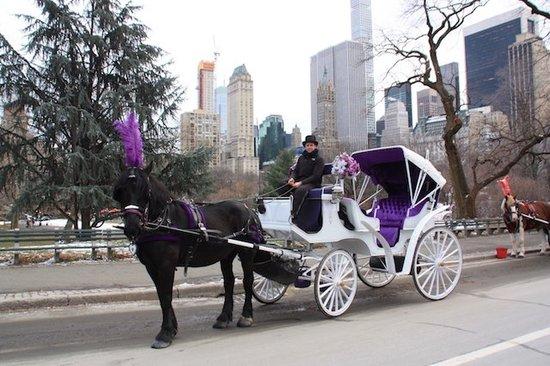 New York City Horse Carriages