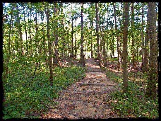 Colleton State Park