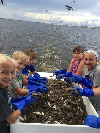 NC CRABBING & SHRIMPING