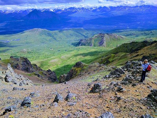 Denali Backcountry Guides