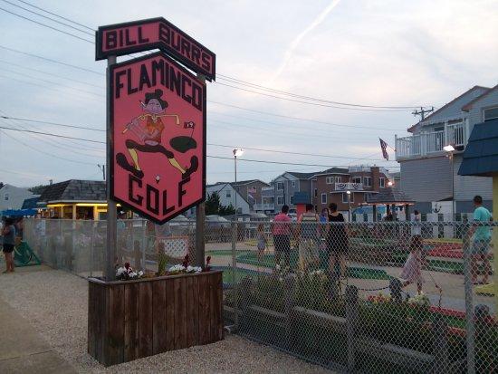 Flamingo Miniature Golf Course