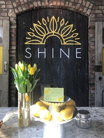 Shine Yoga & Wellness Studio