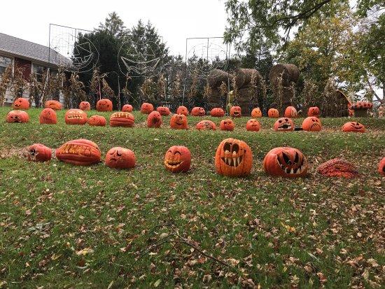 Howell Family Pumpkin Farm