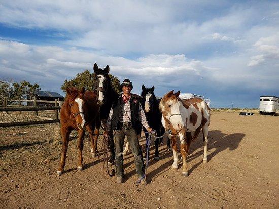 Vision Quest Western Horseback Rides & Lessons